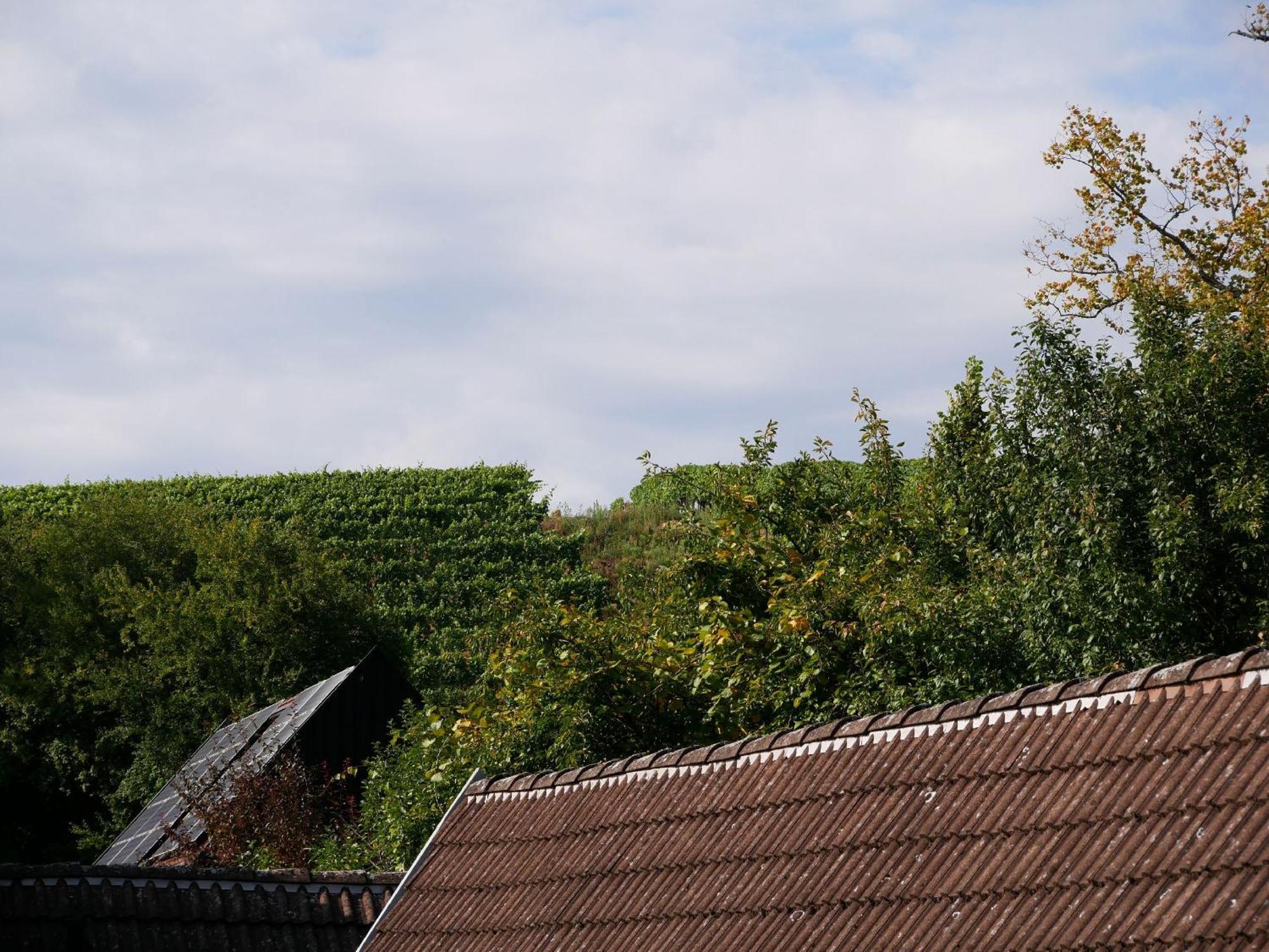 Apartamento Haus Der Malerin Andrea Gawaz Mullheim  Exterior foto